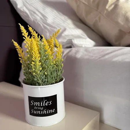Lux Sunshine Apartman Noviborik *