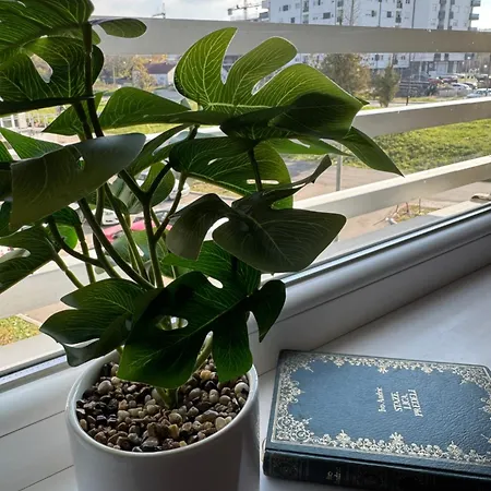 Lux Sunshine Apartman Noviborik *